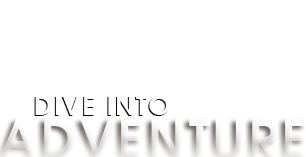 Richmond Helicopter Shuttle